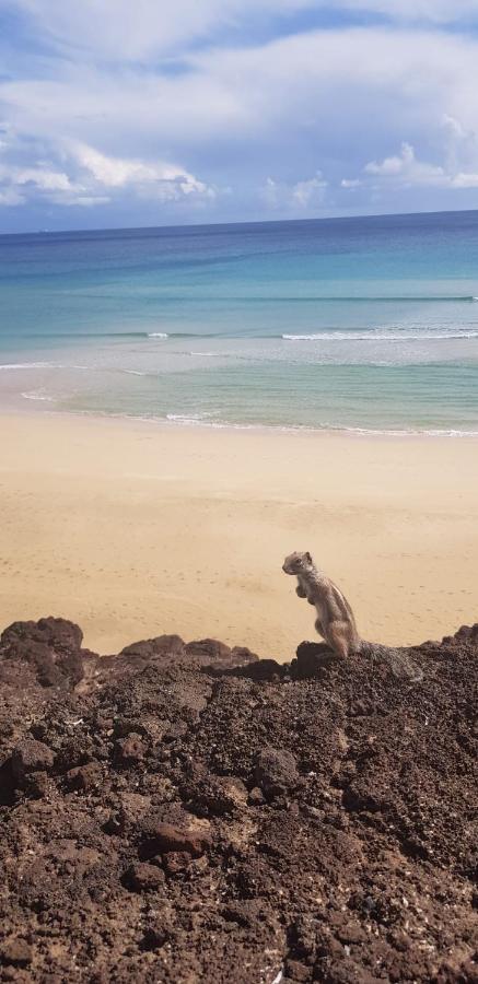 Appartamento Casa Árida, Morro Jable Esterno foto